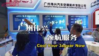 คอมเพรสเซอร์ AC สำหรับยานยนต์สำหรับตลาดโลก